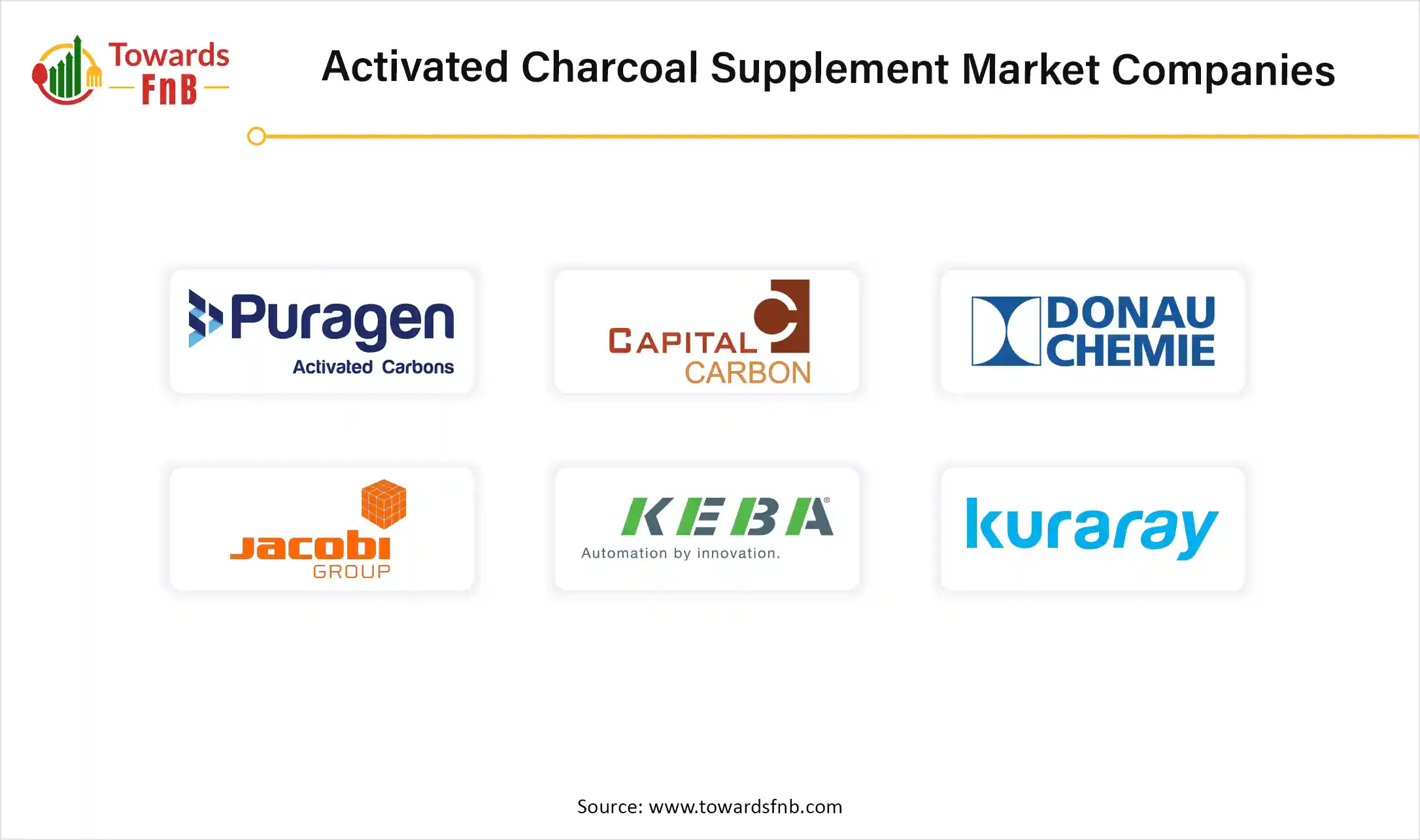 Activated Charcoal Supplement Market Companies