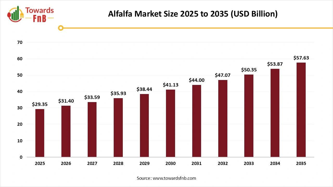 Alfalfa Market Size 2025 to 2035