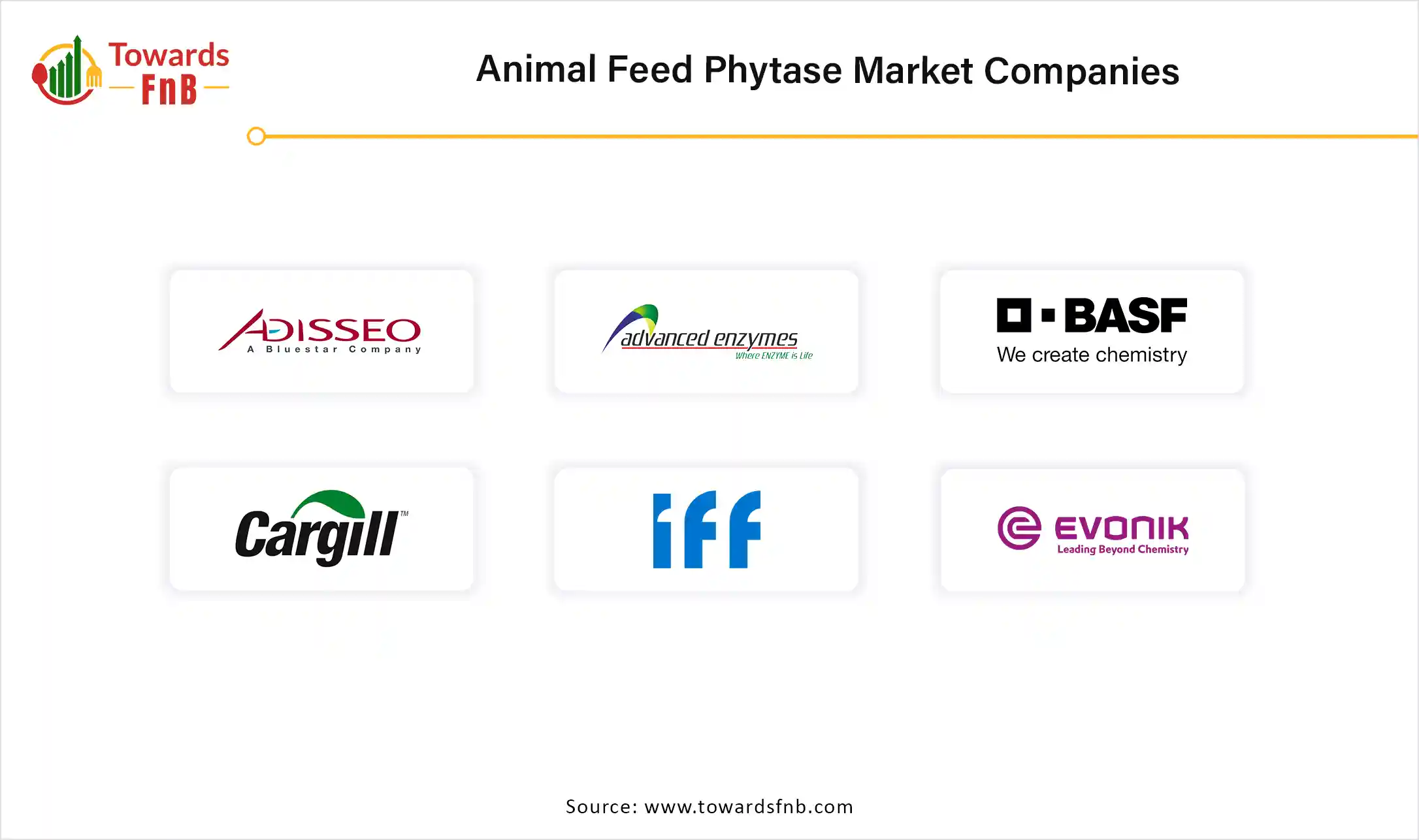 Animal Feed Phytase Market Companies