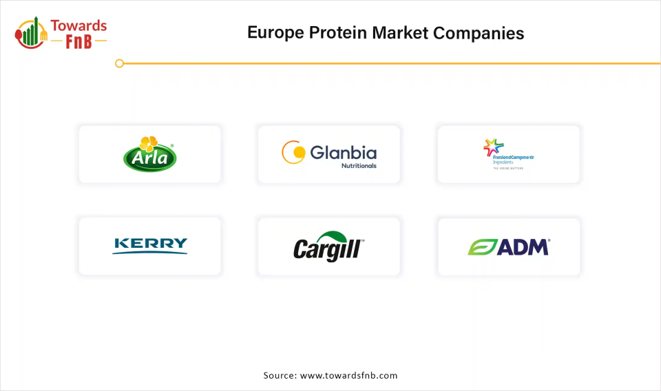 Europe Protein Market Companies