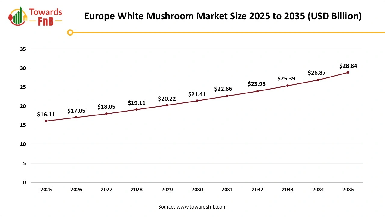 Europe White Mushroom Market Size 2025 to 2035
