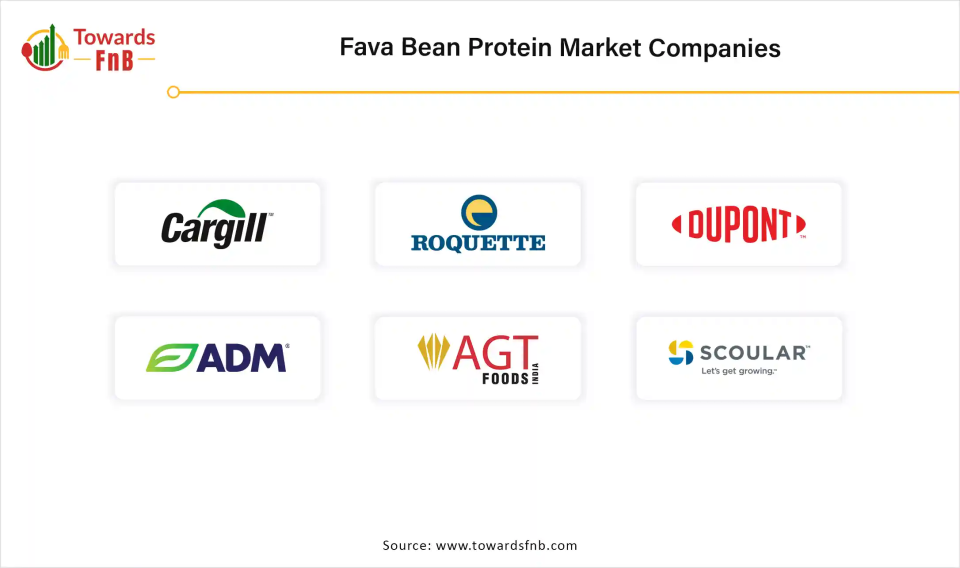 Fava Bean Protein Market Companies 