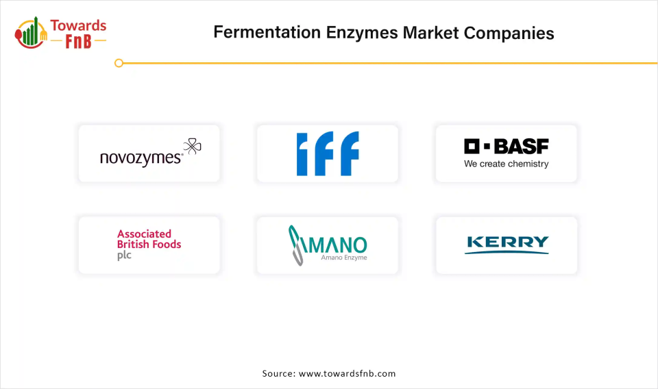 Fermentation Enzymes Market Companies