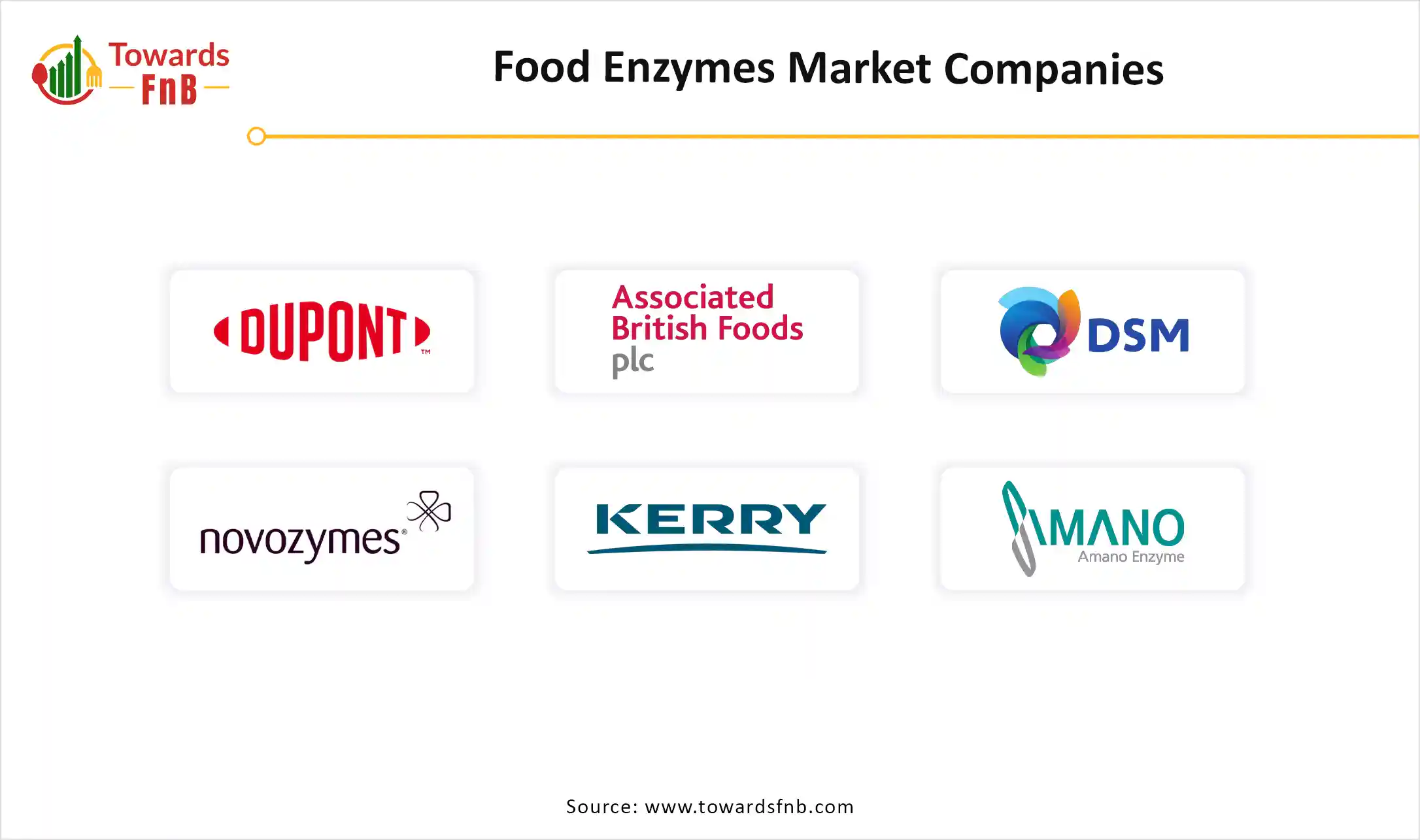 Food Enzymes Market Companies