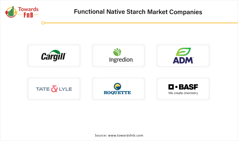 Functional Native Starch Market Companies