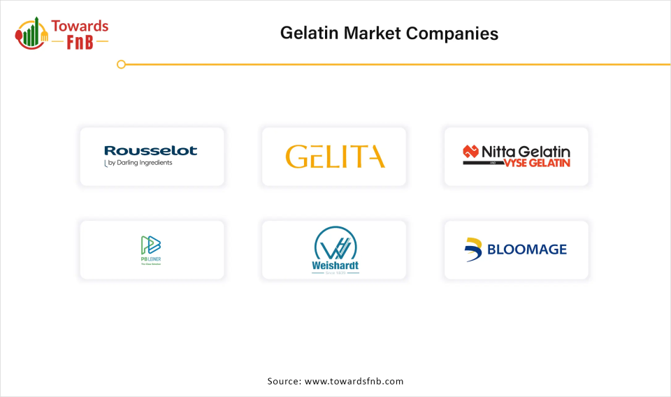 Gelatin Market Companies 