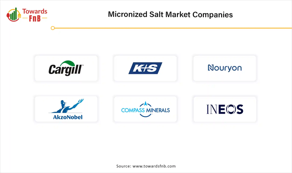 Micronized Salt Market Companies