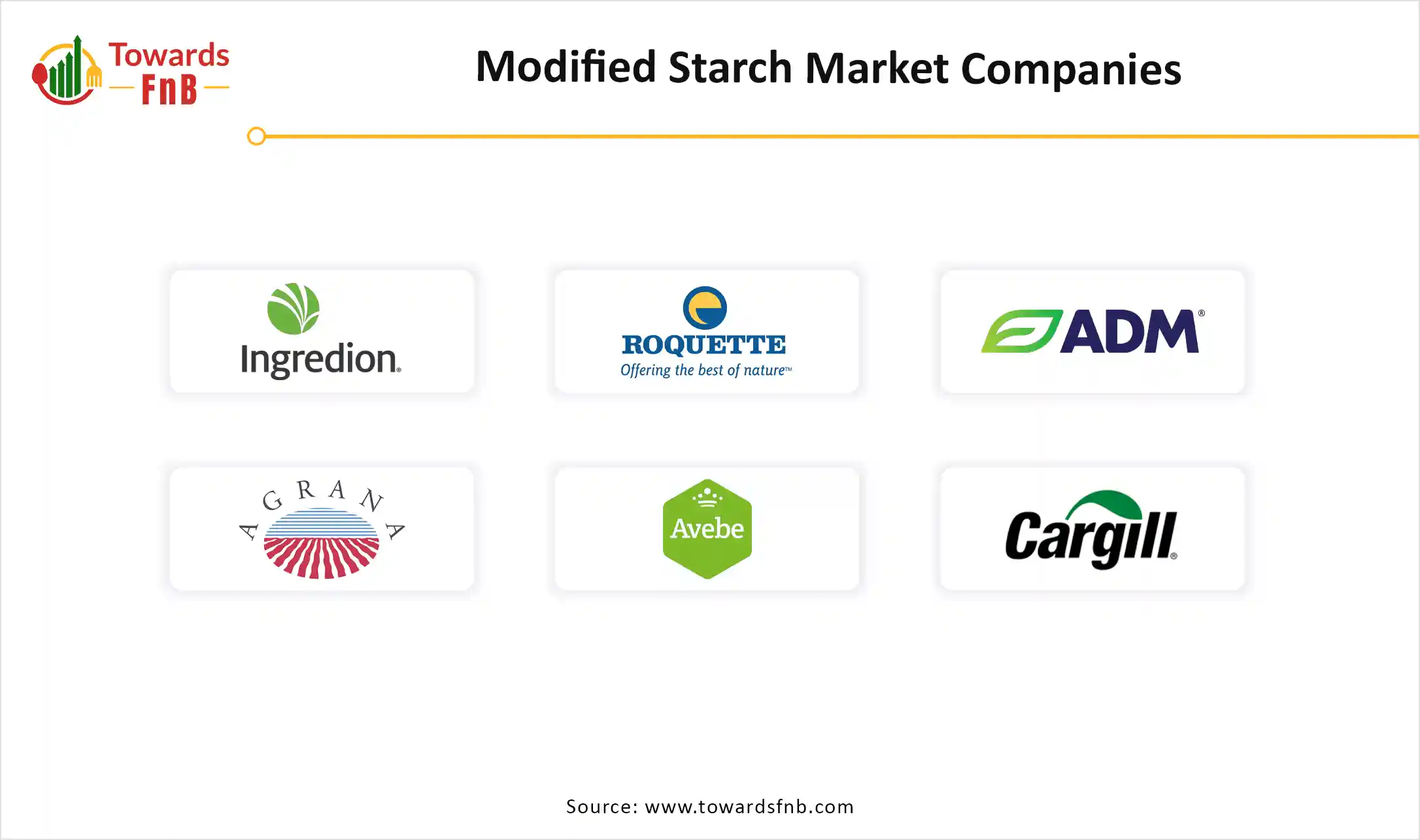 Modified Starch Market Companies