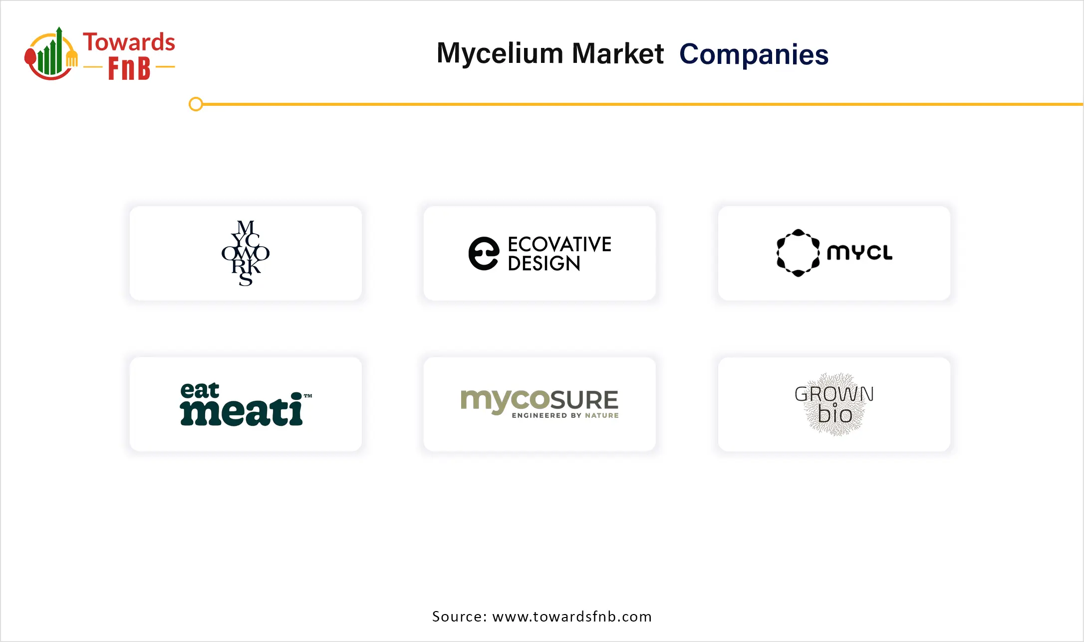 Mycelium Market Companies