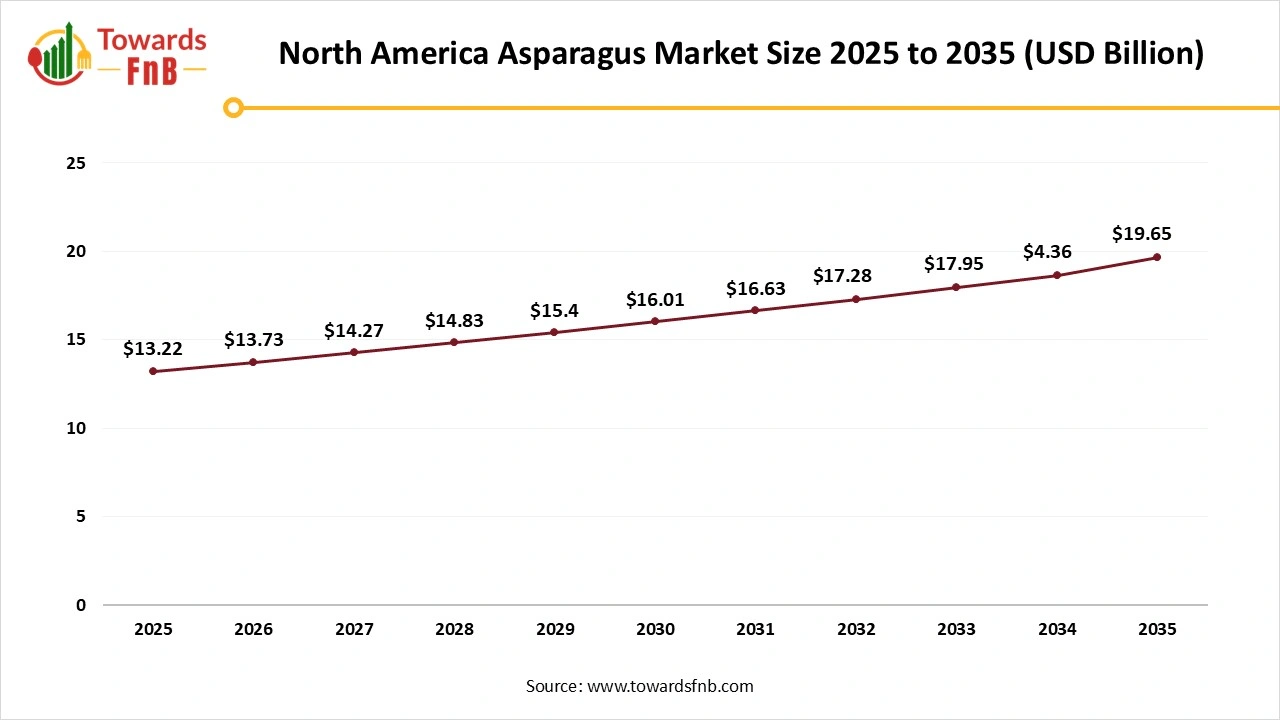 North America Asparagus Market Size 2025 to 2035