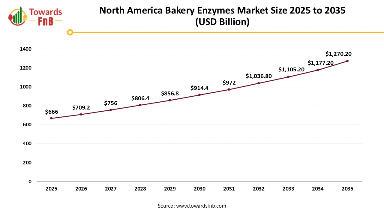 North America Bakery Enzymes Market Size 2025 to 2035
