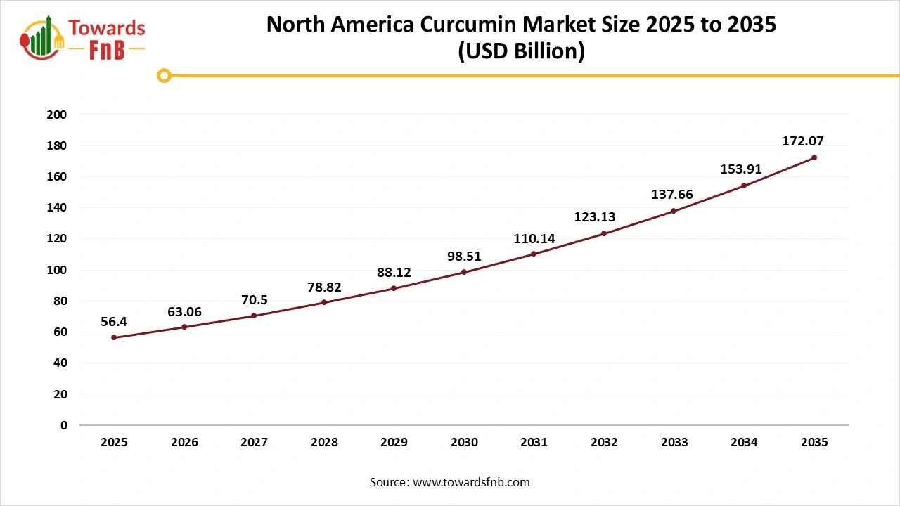 North America Curcumin Market Size 2025 to 2035