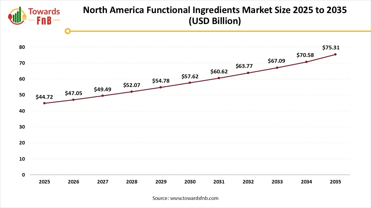 North America Functional Ingredients Market Size 2025 to 2035 North America Functional Ingredients Market Size 2025 to 2035