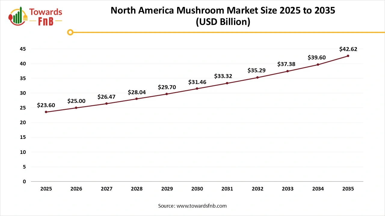North America Mushroom Market Size 2025 to 2035
