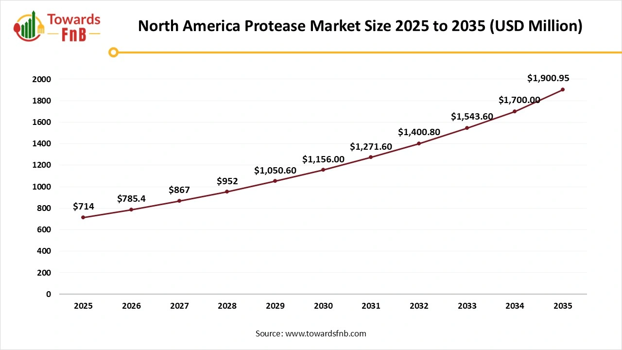 North America Protease Market Size 2025 to 2035 North America Protease Market Size 2025 to 2035