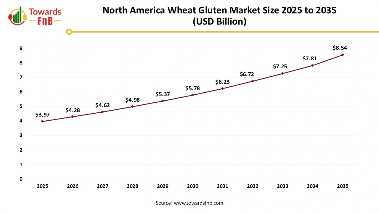 North America Wheat Gluten Market Size 2025 to 2035