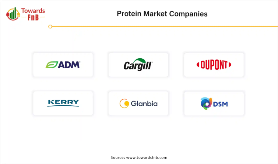 Protein Market Companies