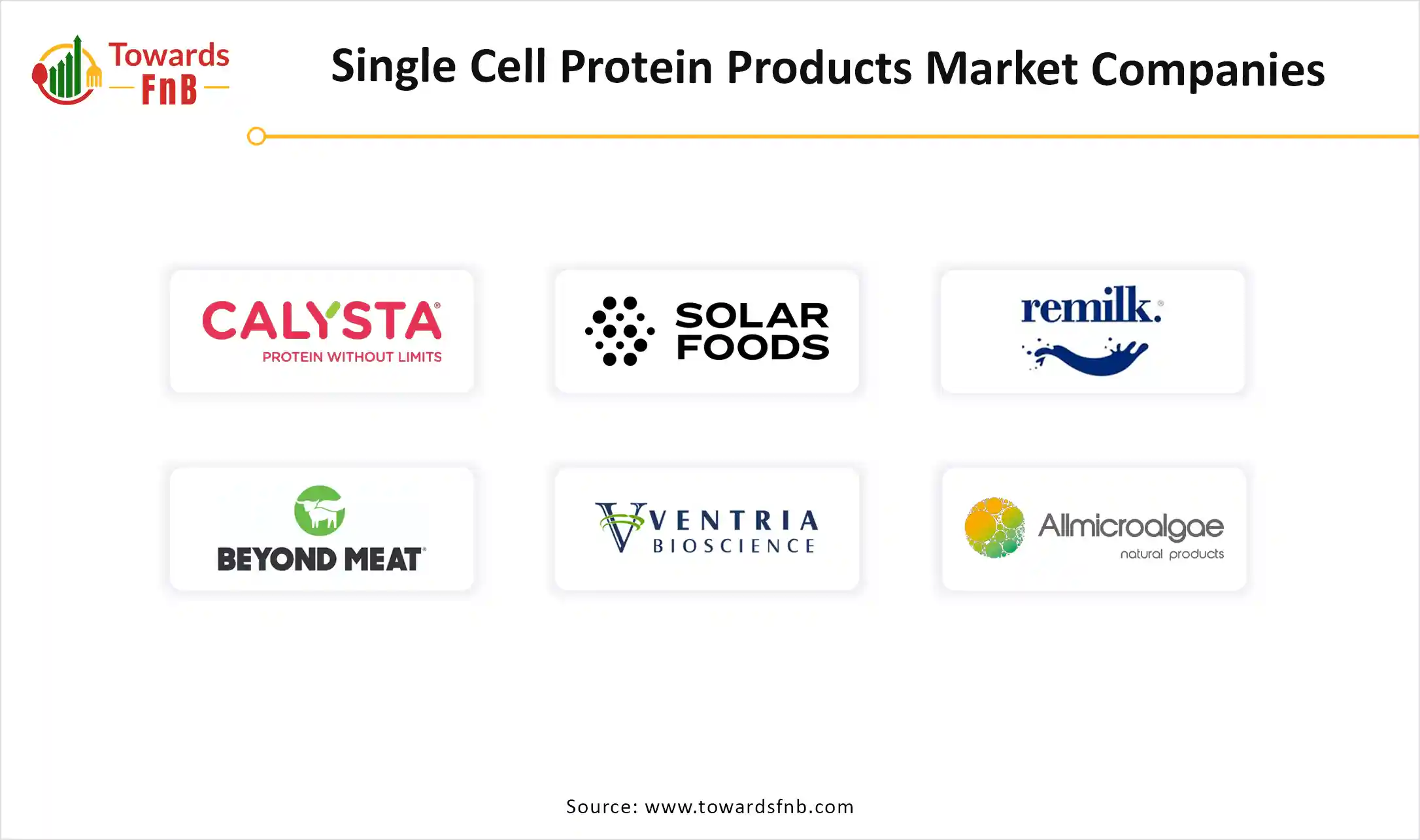 Single Cell Protein Products Market Companies