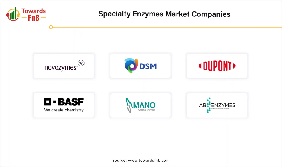Specialty Enzymes Market Companies 