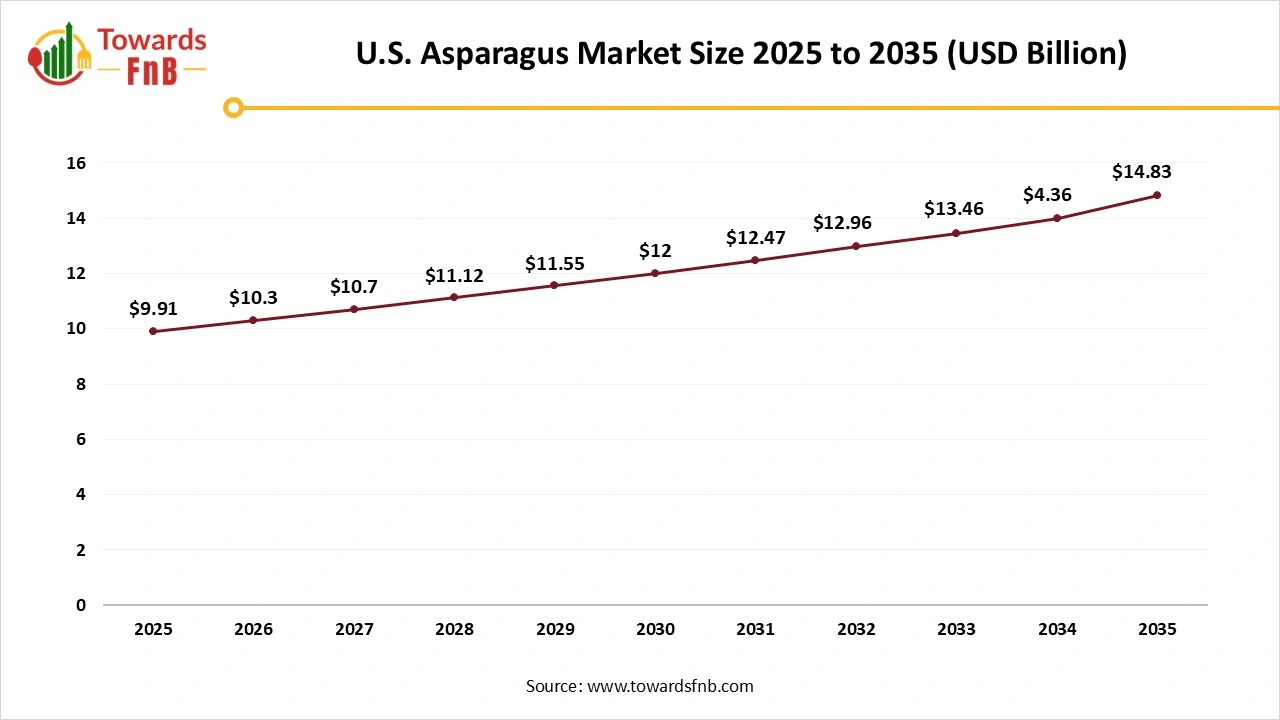 U.S. Asparagus Market Size 2025 to 2035