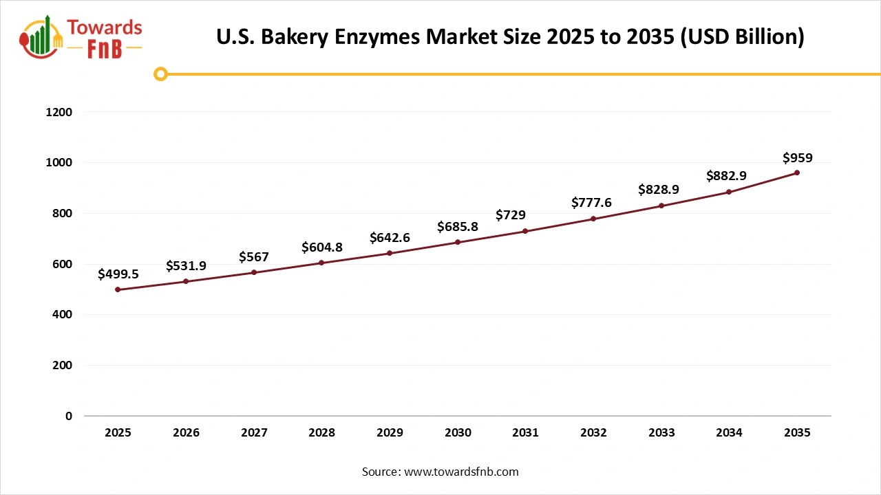 U.S. Bakery Enzymes Market Size 2025 to 2035