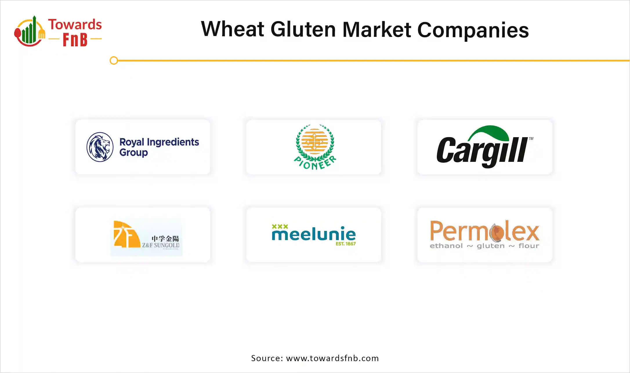 Wheat Gluten Market Companies