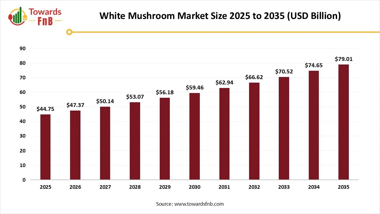 White Mushroom Market Size 2025 to 2035